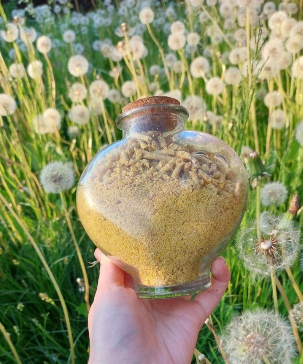 соя экструдированная в стеклянной банке на фоне травки и одуванчиков