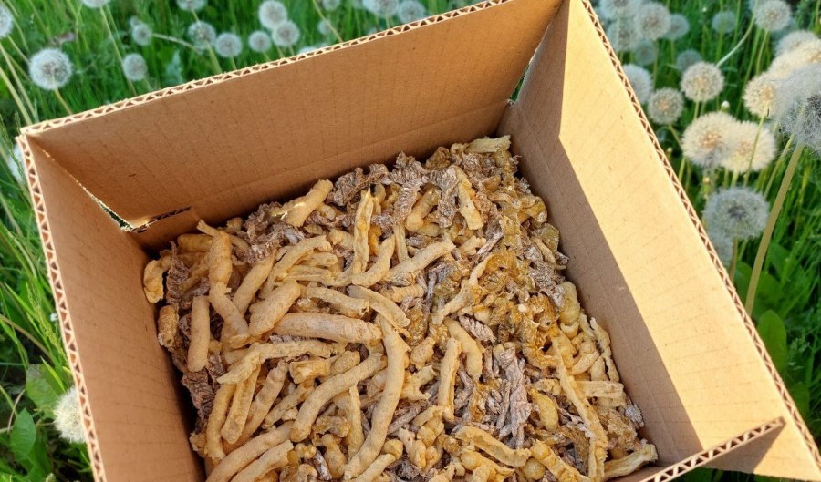 хрустики в коробке на зеленой травке в одуванчиках